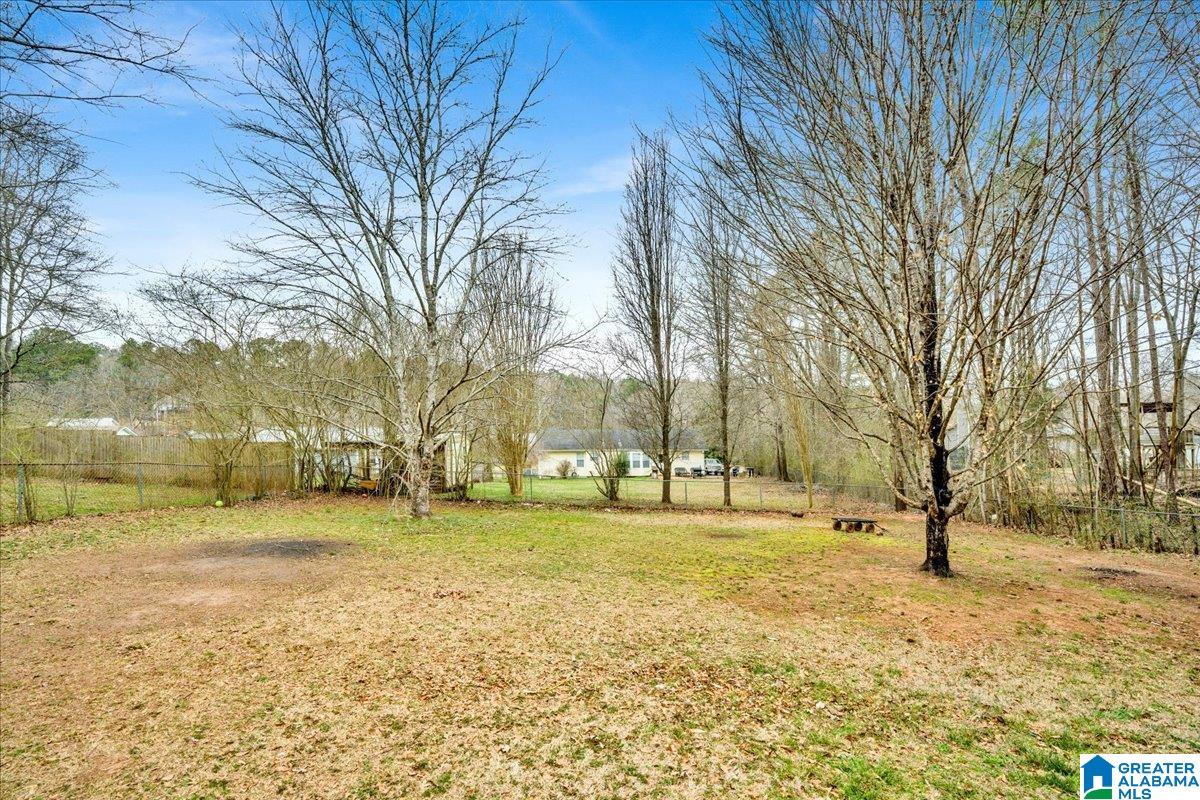 375 Brian Trail Springville, AL 35146 - Photo 6 of 32