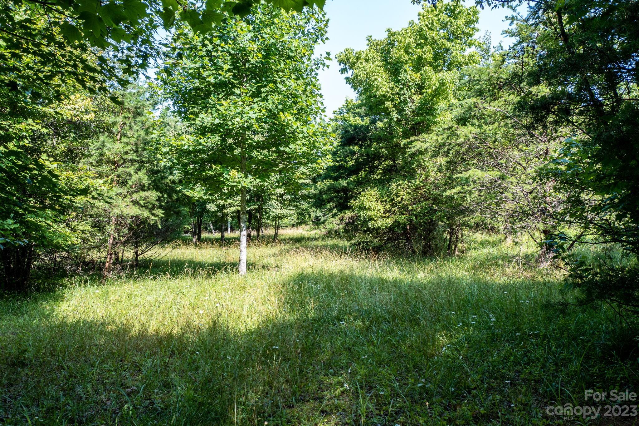 3183 Ebb Smith Road Lenoir, NC 28645 - Photo 12 of 25 Gallery Image 12