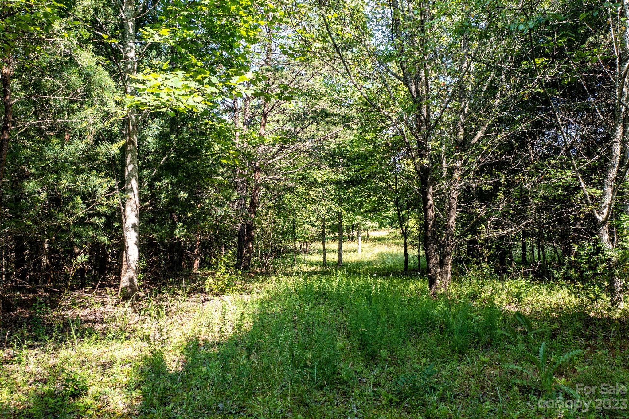 3183 Ebb Smith Road Lenoir, NC 28645 - Photo 13 of 25 Gallery Image 13