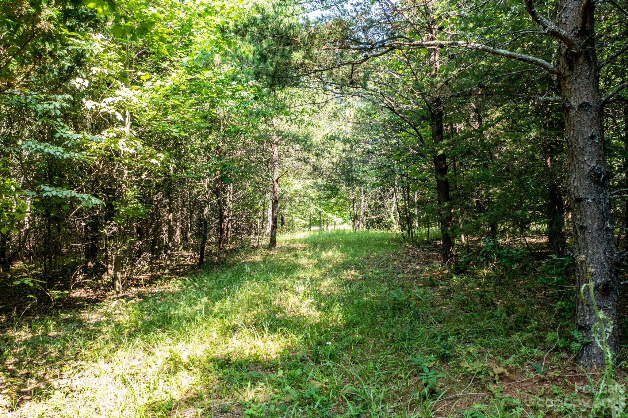 3183 Ebb Smith Road Lenoir, NC 28645 - Photo 14 of 25 Gallery Image 14