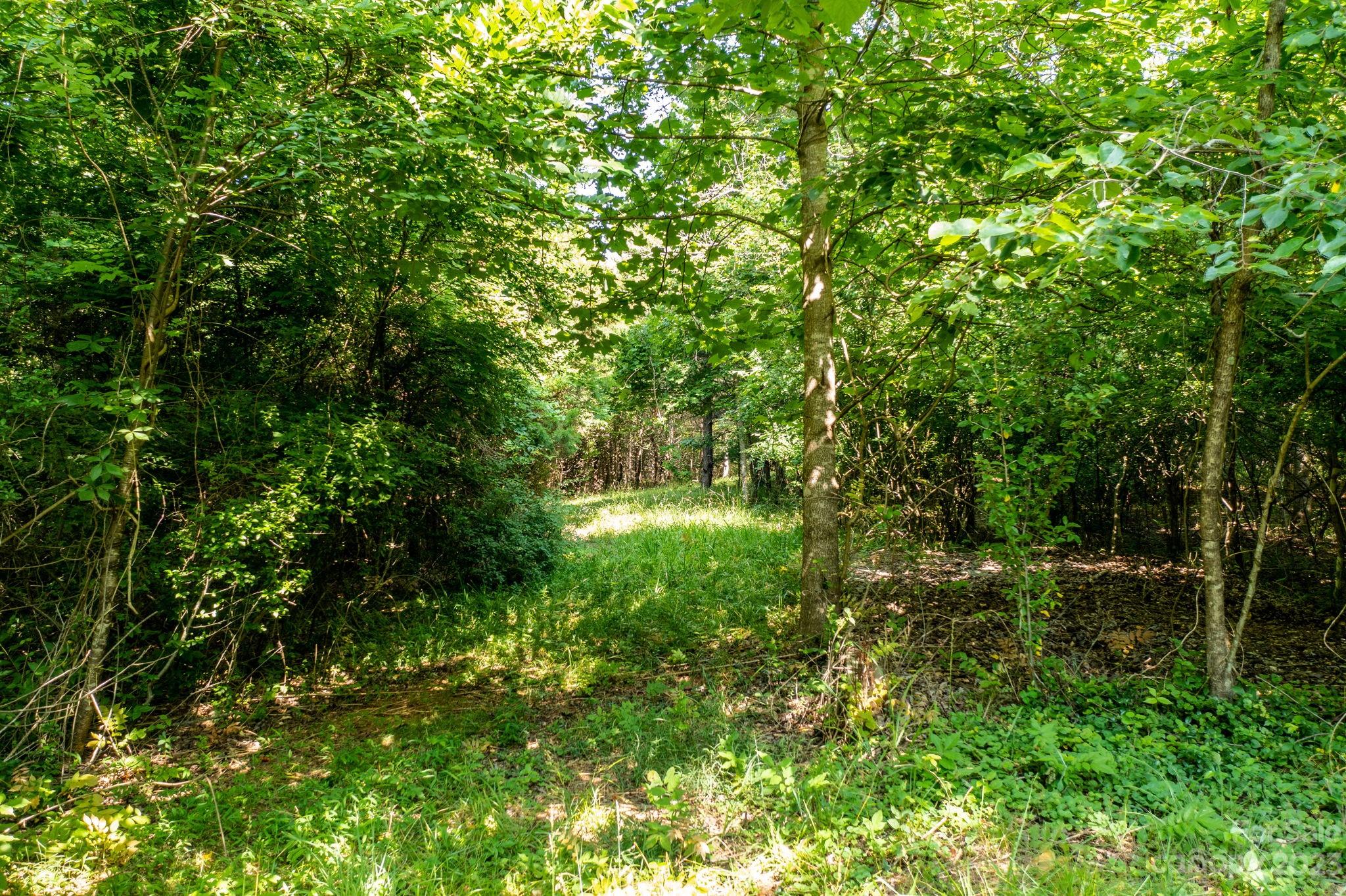 3183 Ebb Smith Road Lenoir, NC 28645 - Photo 15 of 25 Gallery Image 15