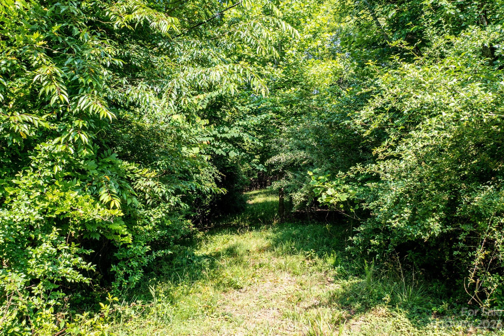3183 Ebb Smith Road Lenoir, NC 28645 - Photo 16 of 25 Gallery Image 16