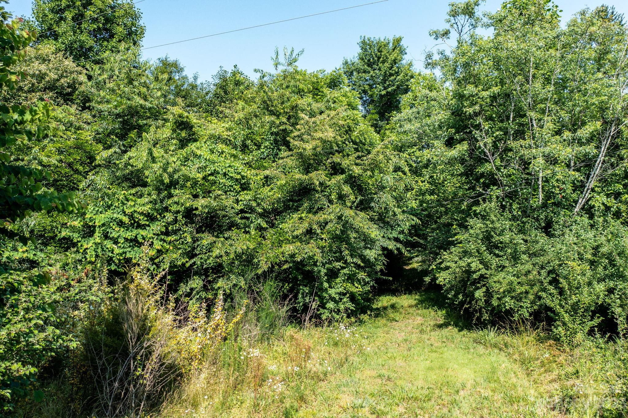 3183 Ebb Smith Road Lenoir, NC 28645 - Photo 17 of 25 Gallery Image 17