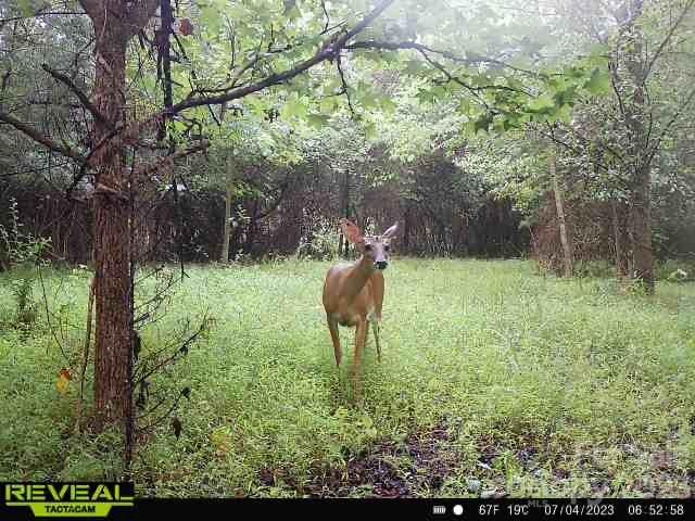 3183 Ebb Smith Road Lenoir, NC 28645 - Photo 21 of 25 Gallery Image 21
