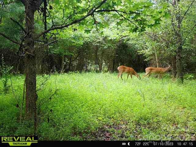 3183 Ebb Smith Road Lenoir, NC 28645 - Photo 22 of 25 Gallery Image 22