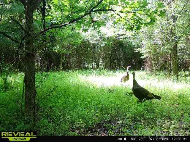 3183 Ebb Smith Road Lenoir, NC 28645 - Photo 23 of 25 Gallery Image 23