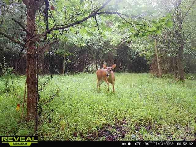 3183 Ebb Smith Road Lenoir, NC 28645 - Photo 24 of 25 Gallery Image 24