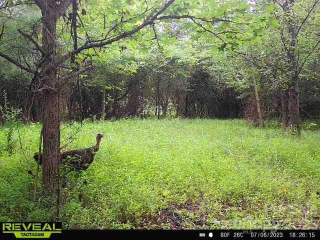3183 Ebb Smith Road Lenoir, NC 28645 - Photo 25 of 25 Gallery Image 25