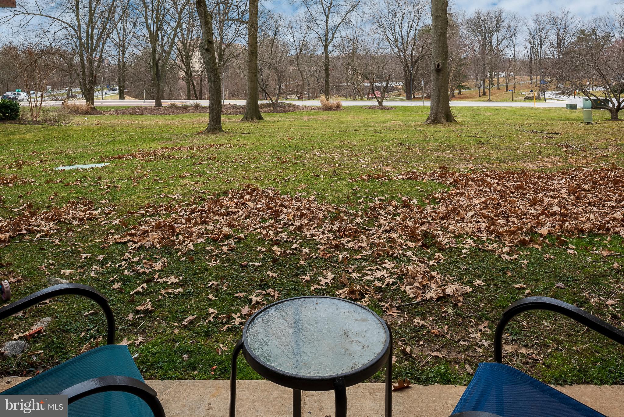 5251 West Running Brook Road, Unit 102 Columbia, MD 21044 - Photo 29 of 30 Back Patio View