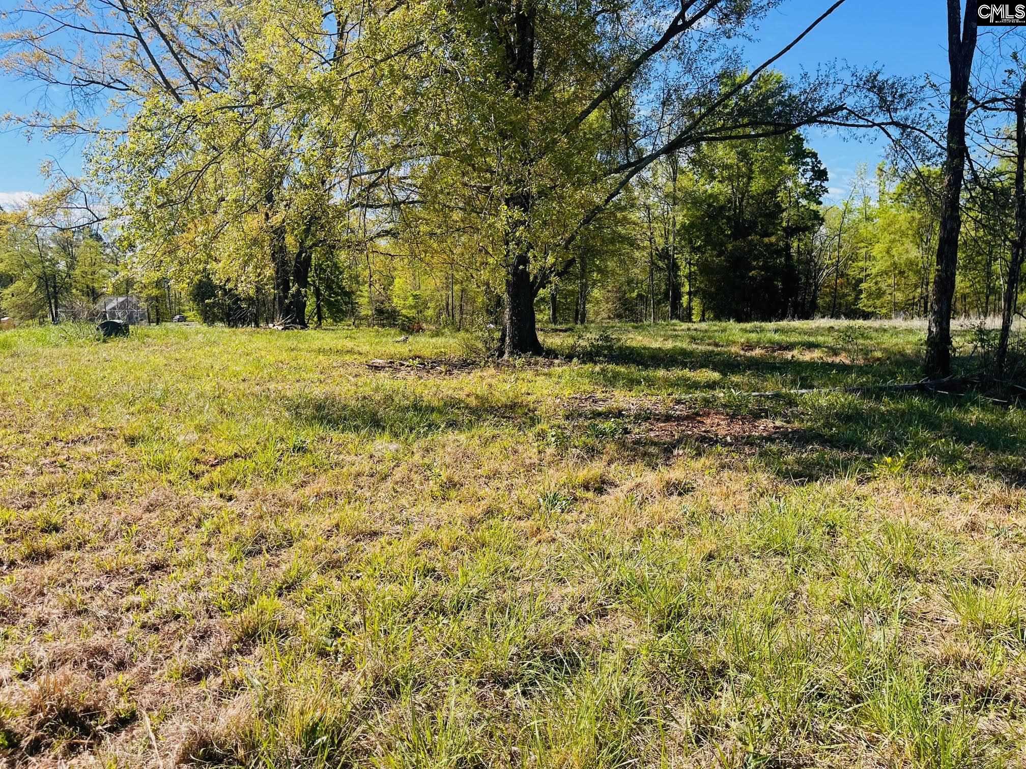 0 Lands End Lane Prosperity, SC 29127 - Photo 6 of 20