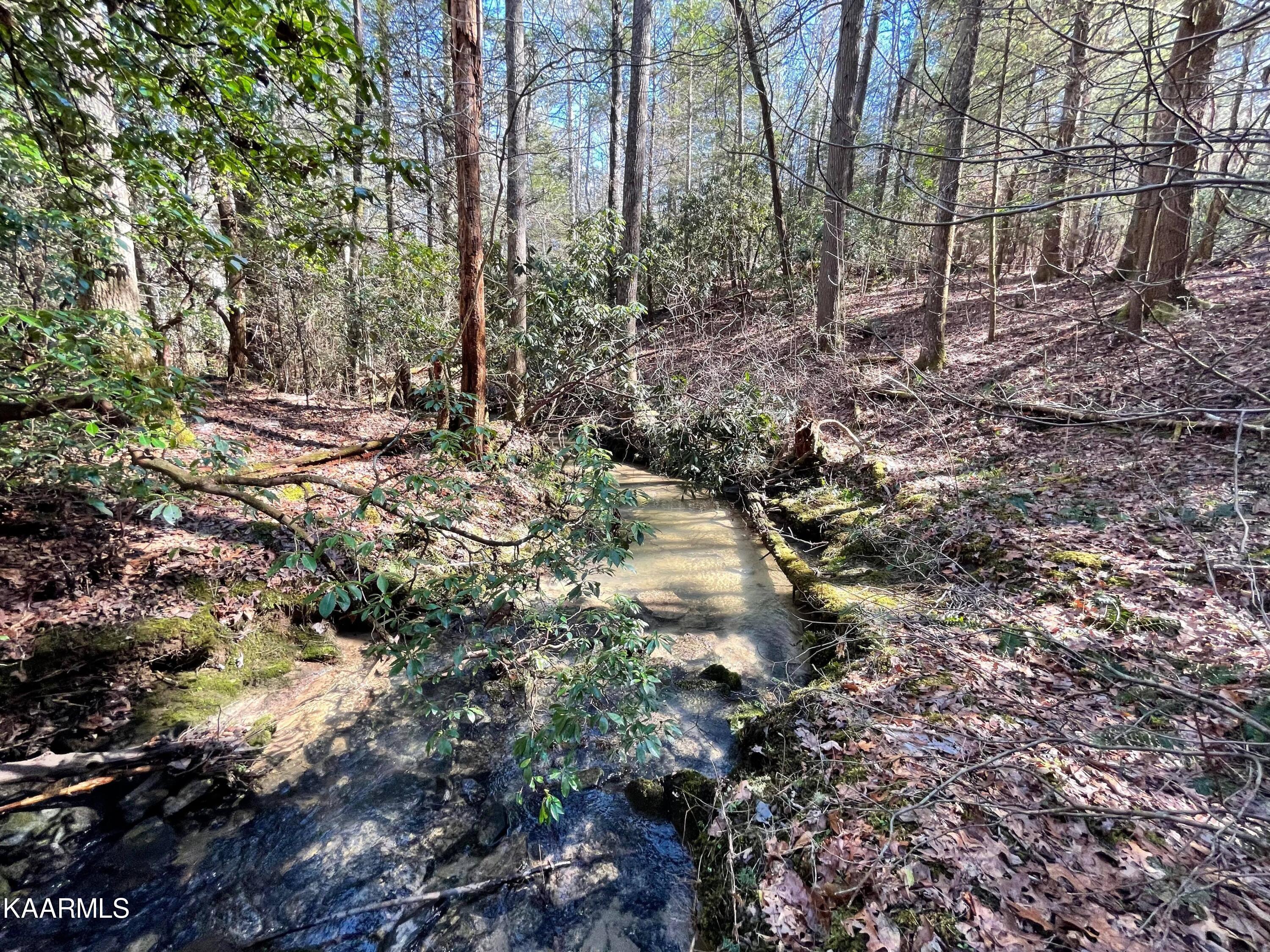 6609 Mt Helen Road Allardt, TN 38504 - Photo 11 of 49 274659455_280211944192317_65822366165540