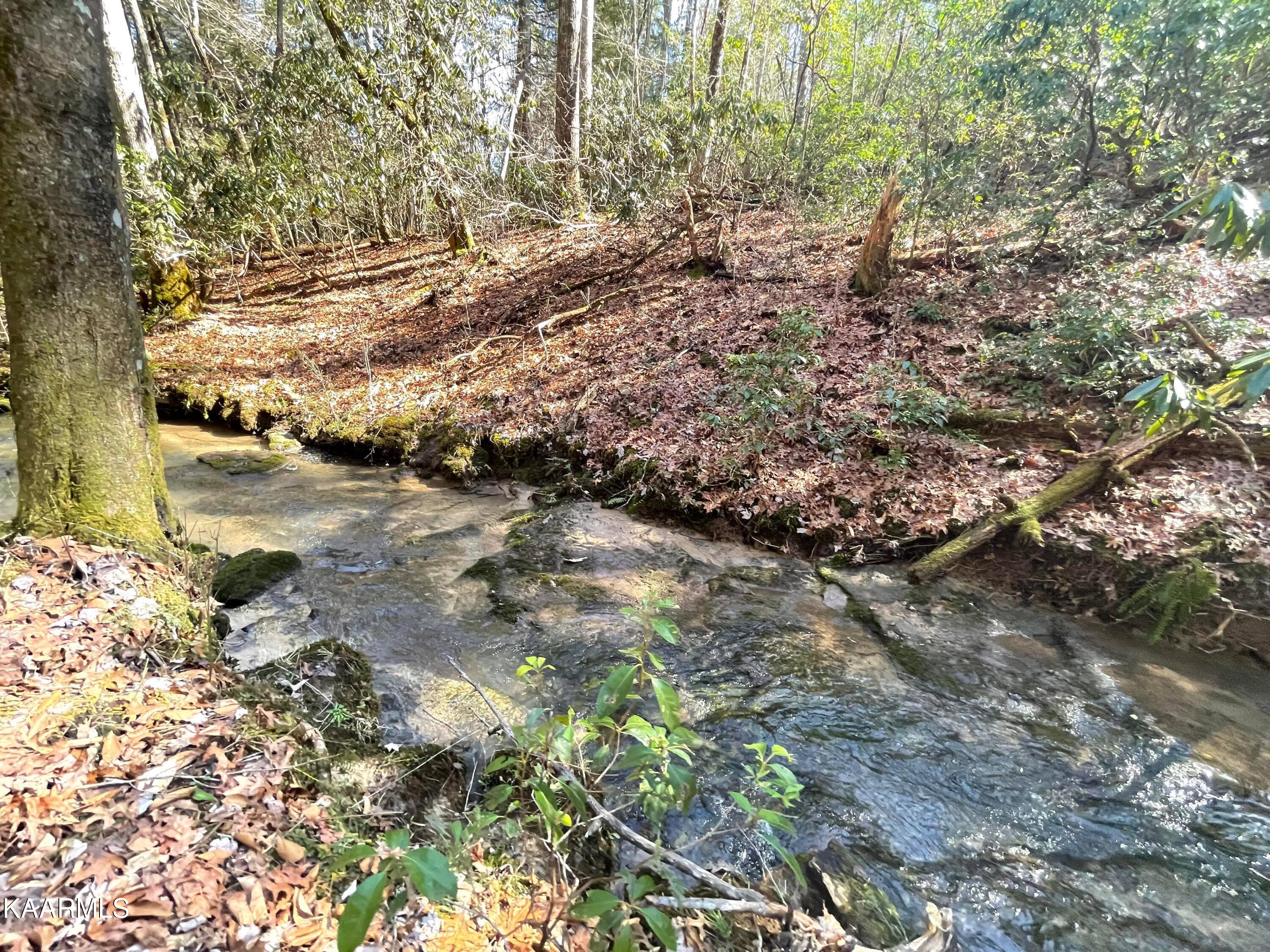 6609 Mt Helen Road Allardt, TN 38504 - Photo 12 of 49 274660241_383661769782000_10747279439039