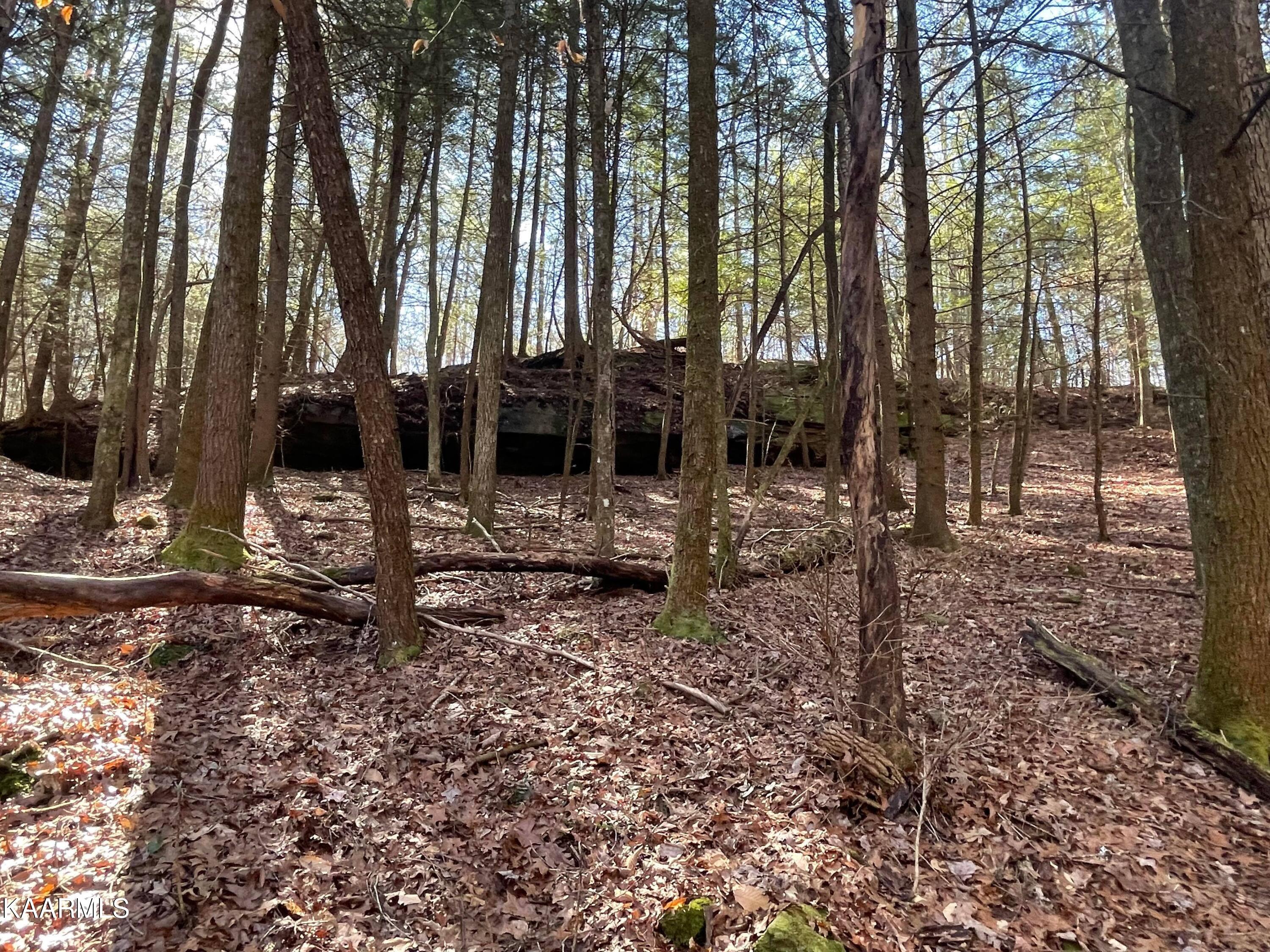 6609 Mt Helen Road Allardt, TN 38504 - Photo 15 of 49 274677538_484405316614804_31835583001874
