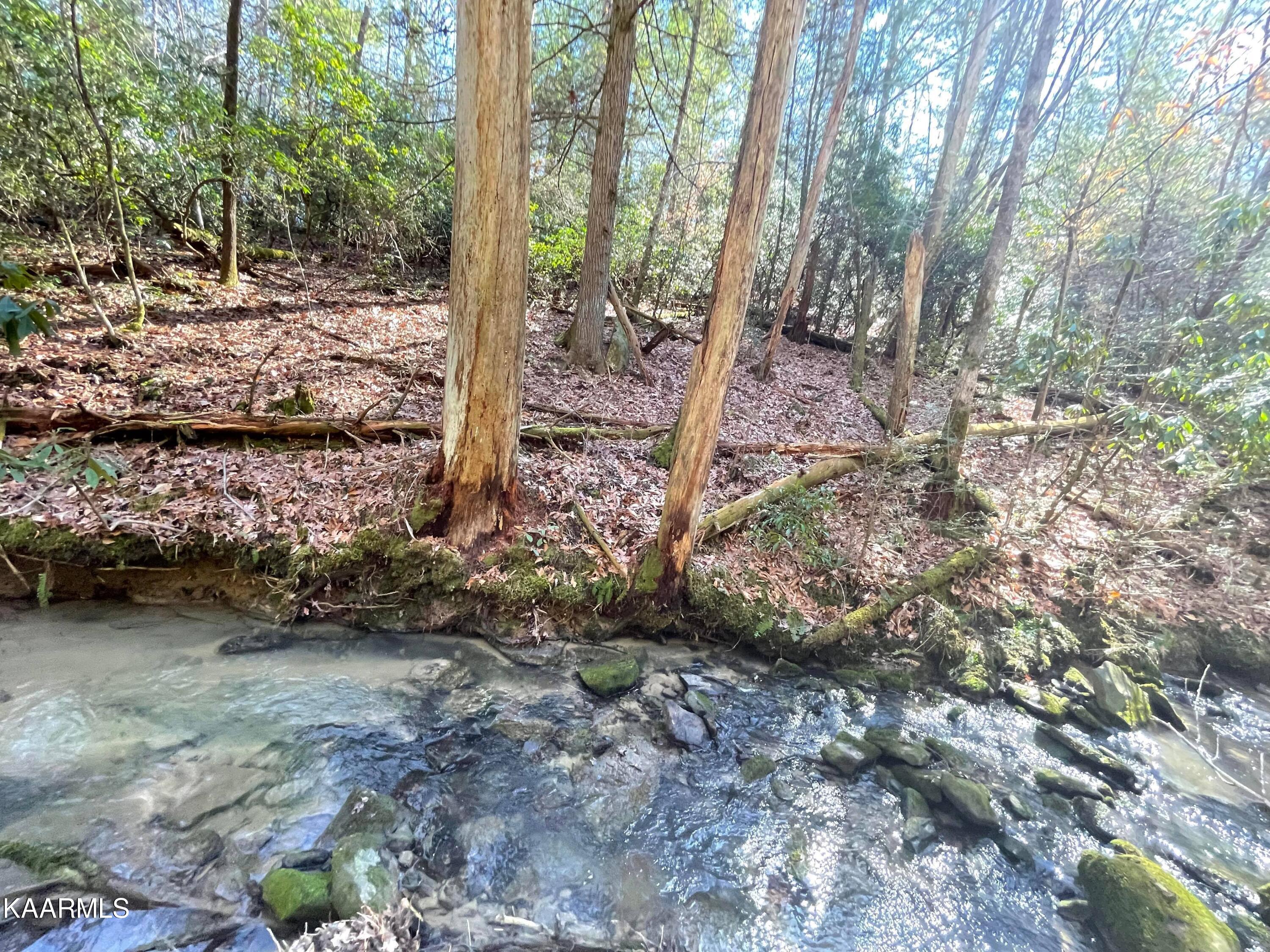 6609 Mt Helen Road Allardt, TN 38504 - Photo 19 of 49 274683059_1321290305013495_3038711908072