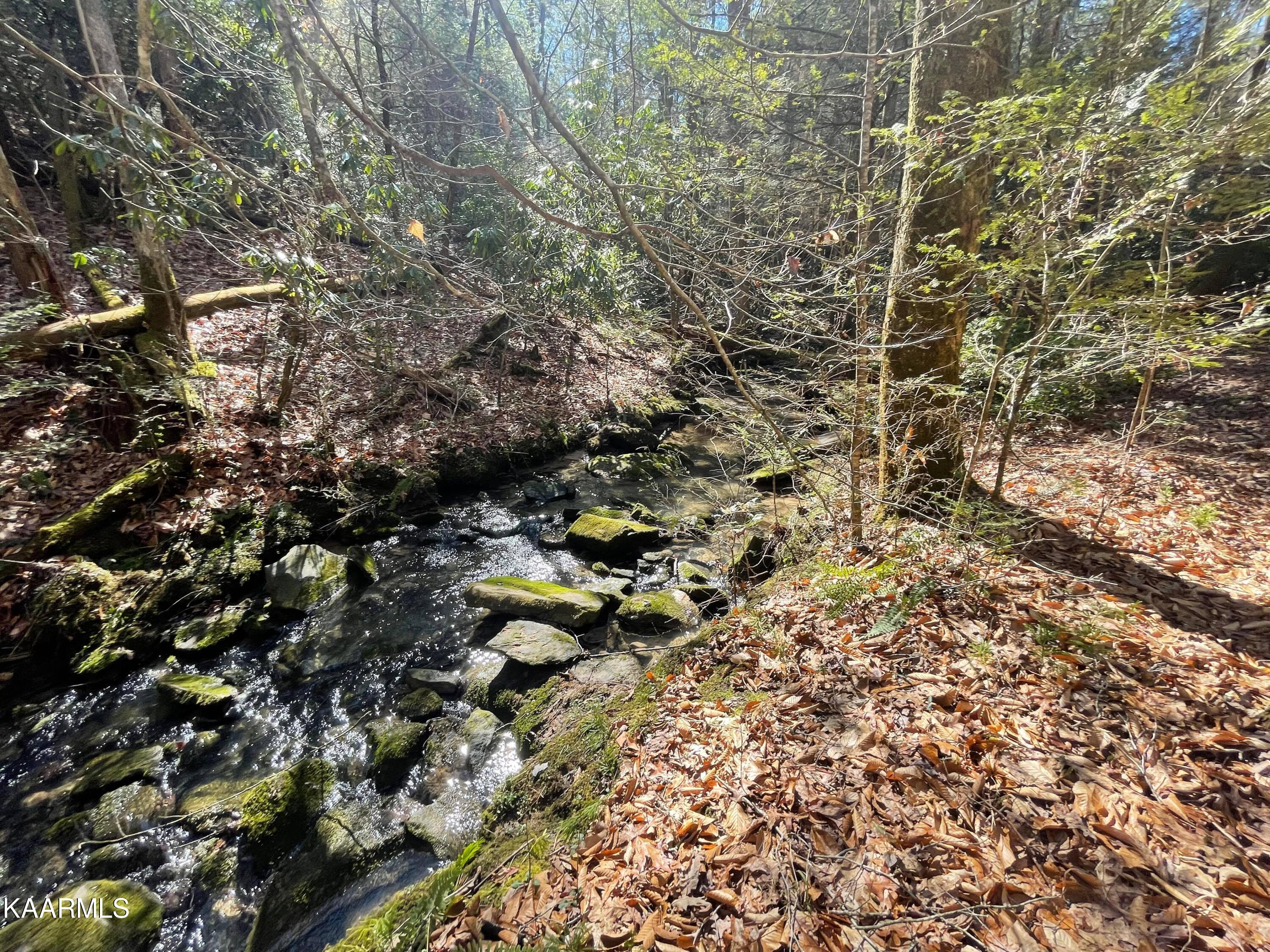 6609 Mt Helen Road Allardt, TN 38504 - Photo 2 of 49 274080877_1032982300633836_6184443715145