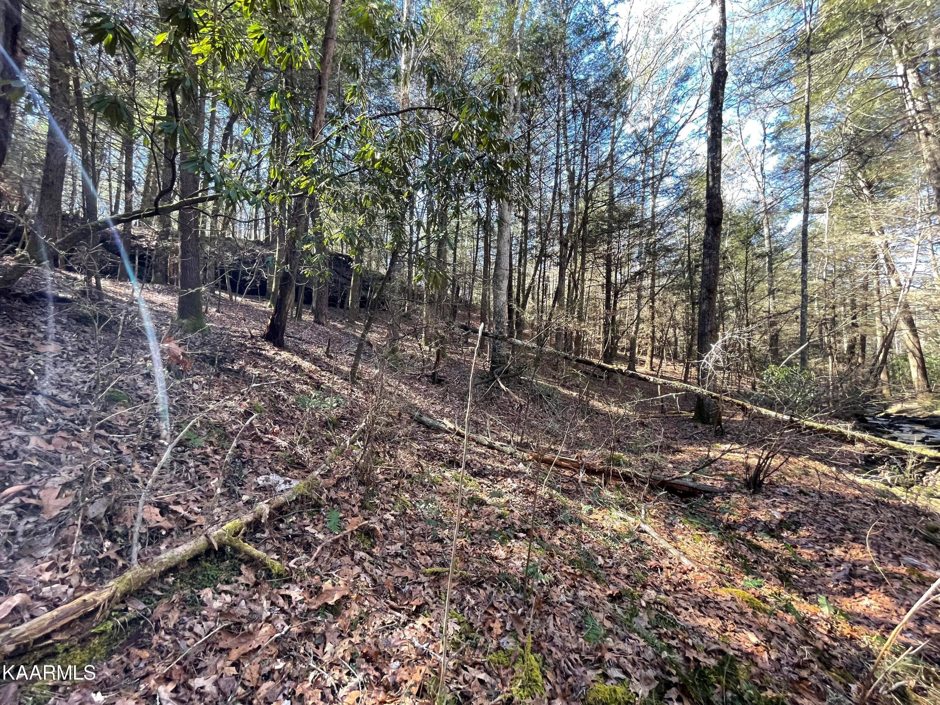 6609 Mt Helen Road Allardt, TN 38504 - Photo 24 of 49 274716726_979553139612845_22436485490487