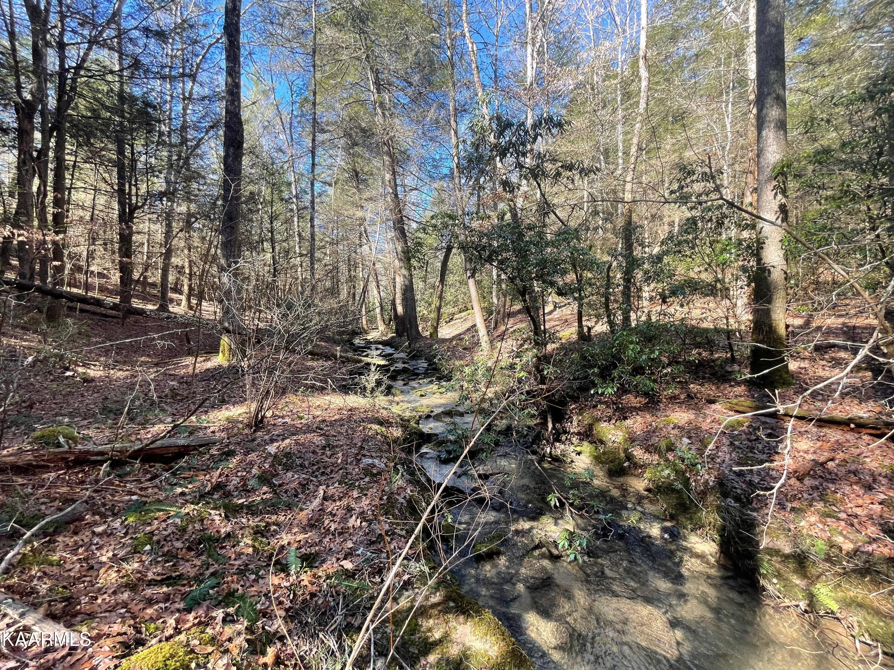 6609 Mt Helen Road Allardt, TN 38504 - Photo 31 of 49 274732568_1161059651299322_4089549256855