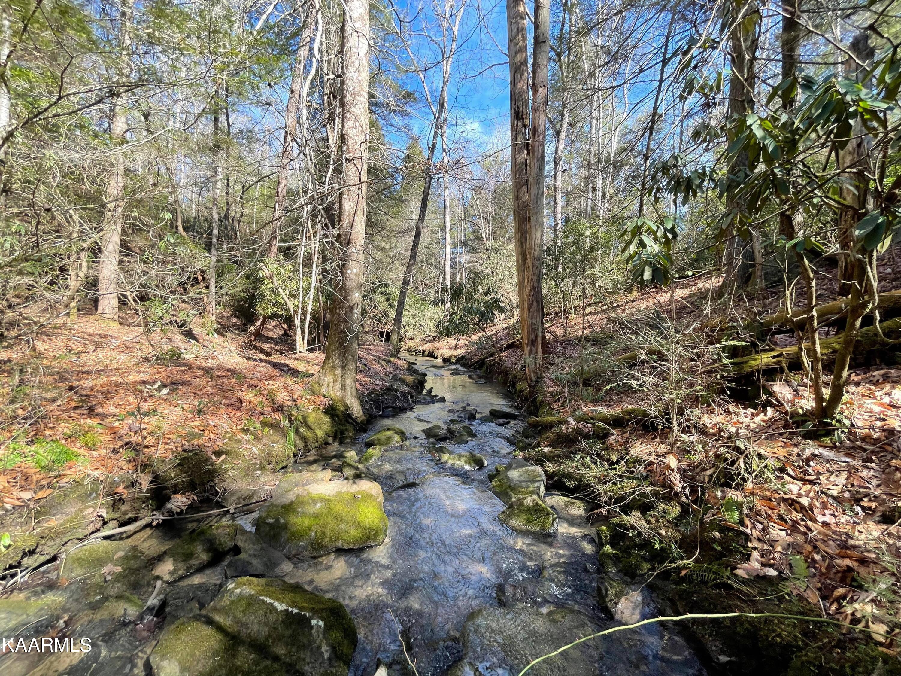 6609 Mt Helen Road Allardt, TN 38504 - Photo 45 of 49 274806052_1119746558875748_5423401025701