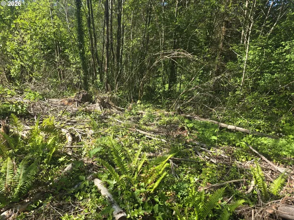 $64,900 | Bear Road, Seaside, OR 97138