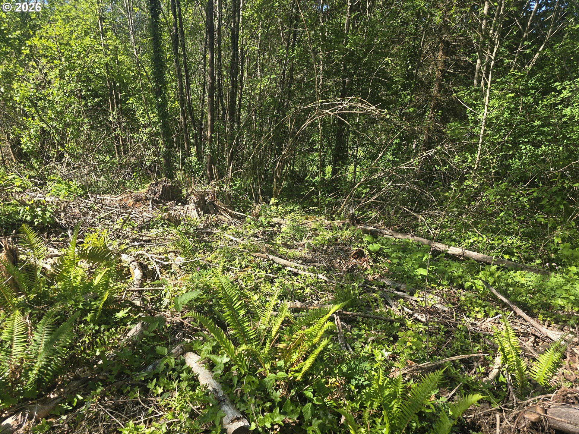 Bear Road Seaside, OR 97138 - Photo 1 of 10
