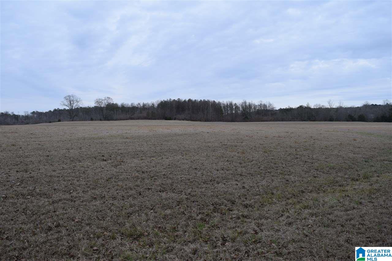 11218 Vance Blocton Road Vance, AL 35490 - Photo 11 of 37