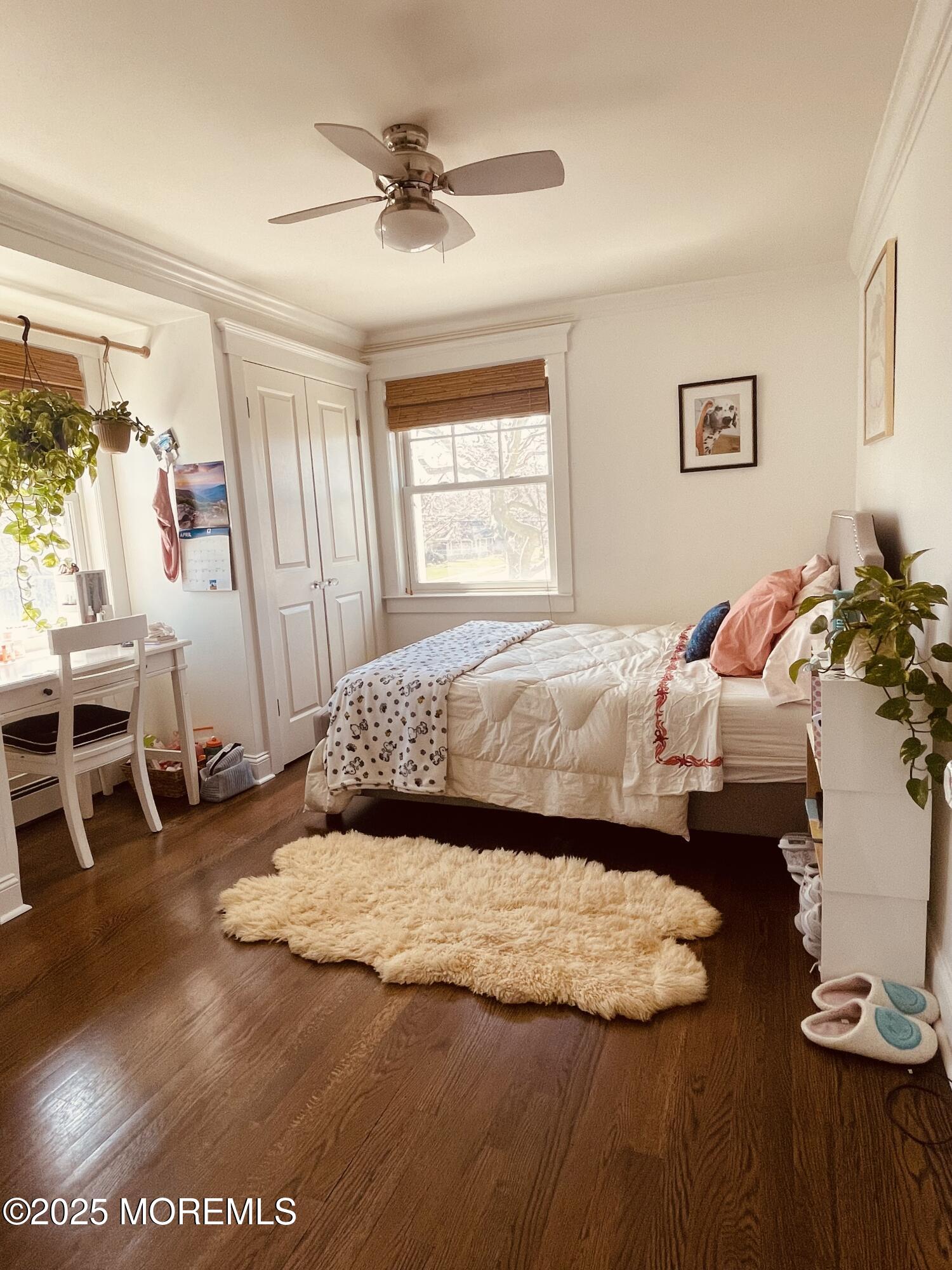 118 Madison Avenue Spring Lake, NJ 07762 - Photo 46 of 75 IMG_9422