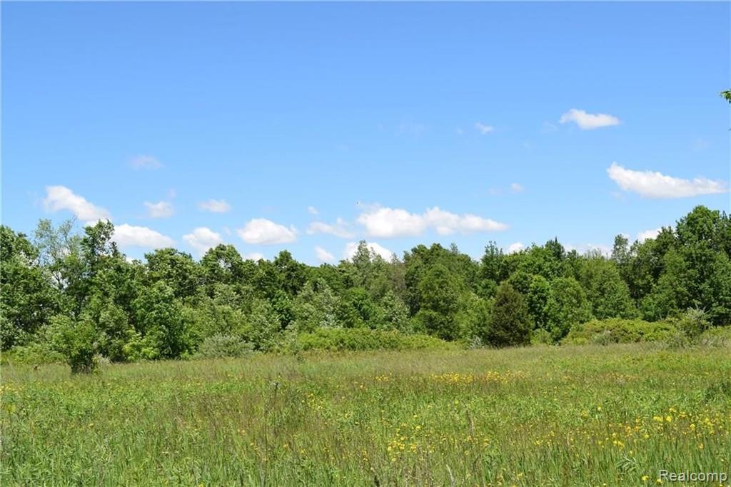 0 Hummer Lake Road Oxford, MI 48371 - Photo 3 of 4