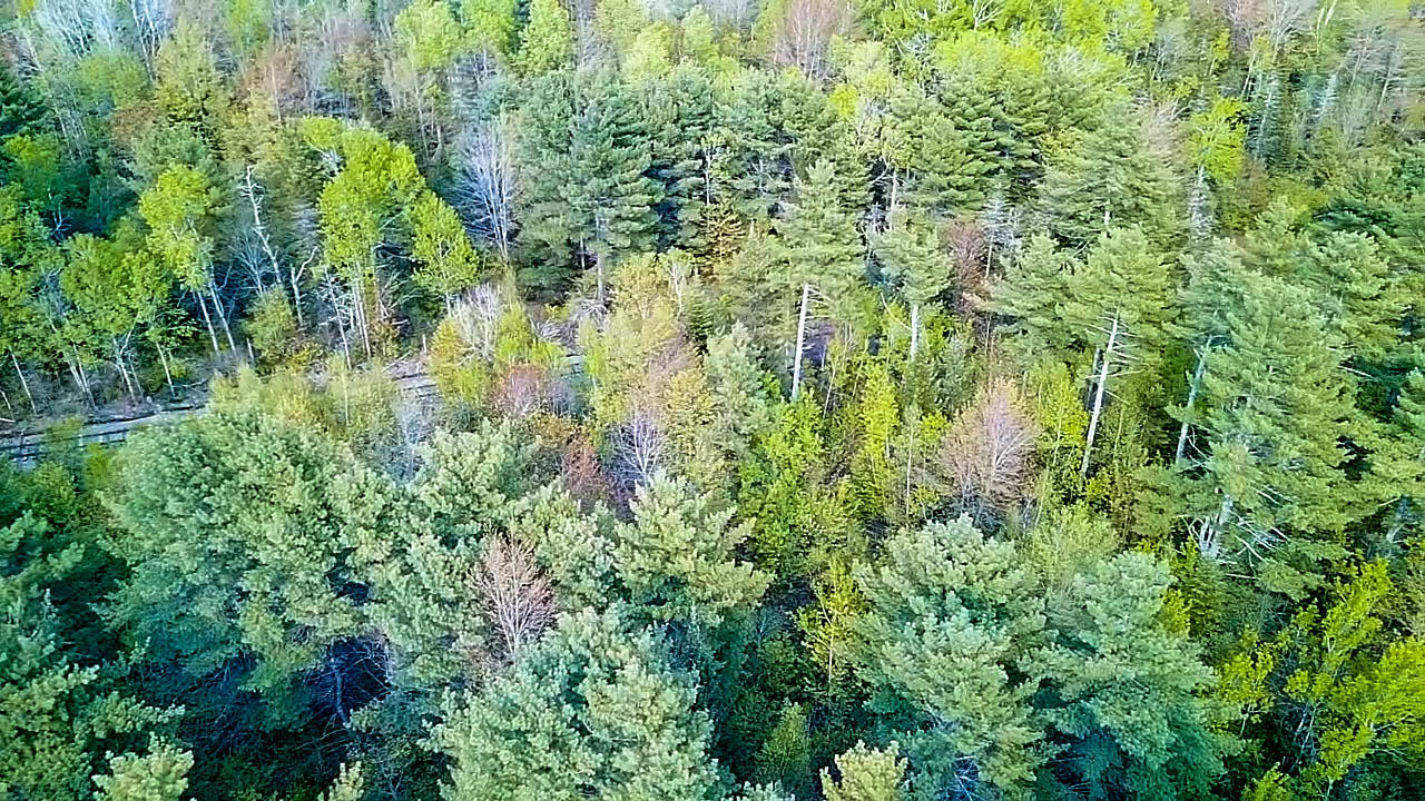 5-8 Boggy Brook Road Ellsworth, ME 04605 - Photo 11 of 28 Close Up