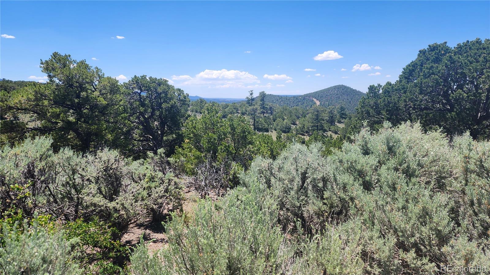 4532 Villa Road Fort Garland, CO 81133 - Photo 3 of 26 Gallery Image 3