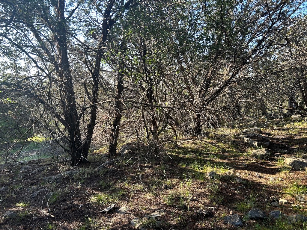 20804 Hawthorne Cove Lago Vista, TX 78645 - Photo 11 of 13