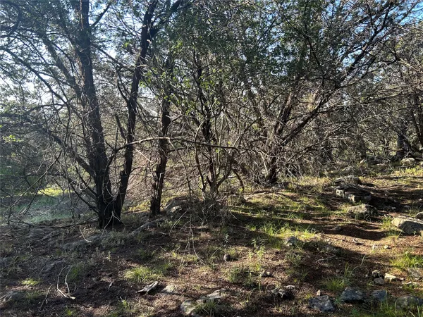 a view of a large yard with lots of green space