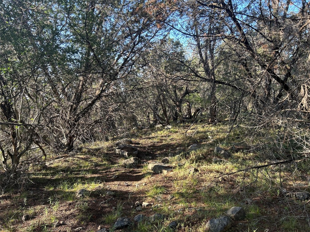 20804 Hawthorne Cove Lago Vista, TX 78645 - Photo 12 of 13