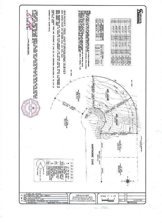 20804 Hawthorne Cove Lago Vista, TX 78645 - Photo 13 of 13