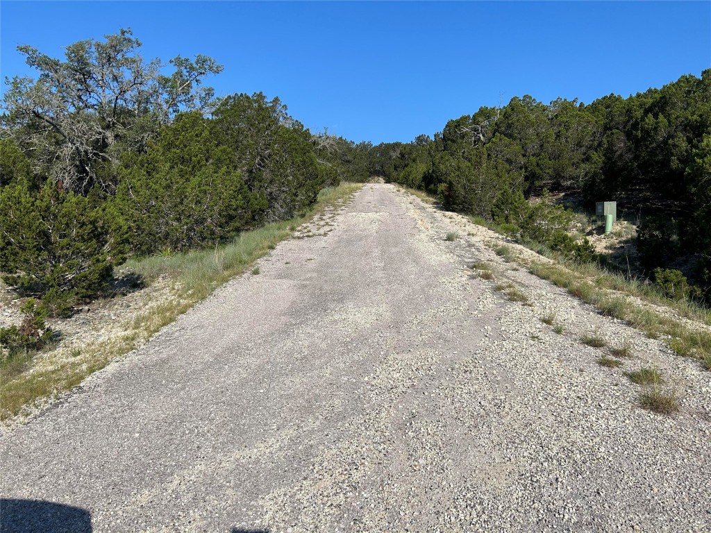 20804 Hawthorne Cove Lago Vista, TX 78645 - Photo 2 of 13