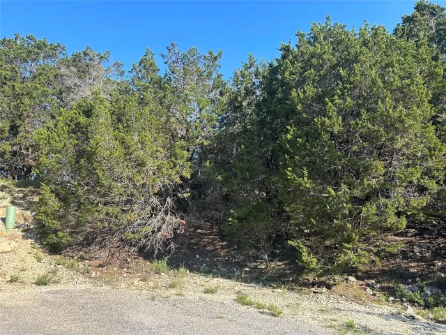 a view of a yard with a tree