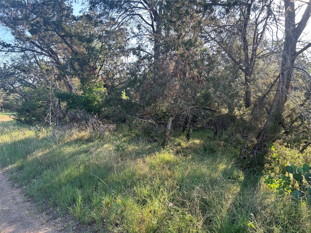 20804 Hawthorne Cove Lago Vista, TX 78645 - Photo 7 of 13