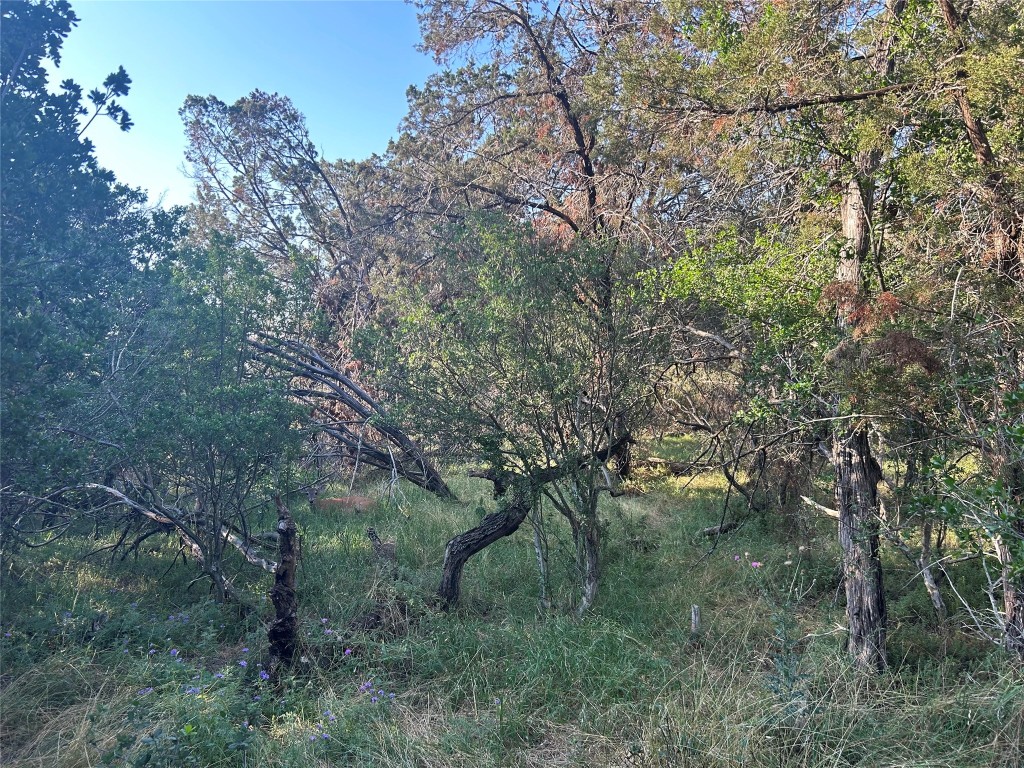 20804 Hawthorne Cove Lago Vista, TX 78645 - Photo 10 of 13