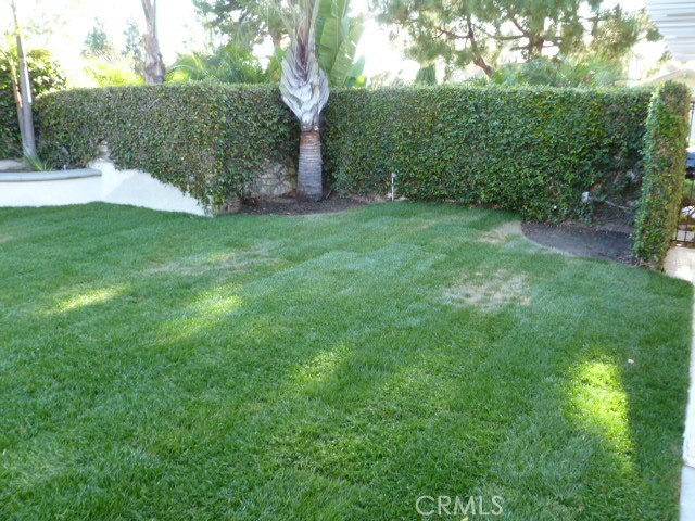 48 Cedar Tree Lane Irvine, CA 92612 - Photo 35 of 52 a view of a yard with a tree