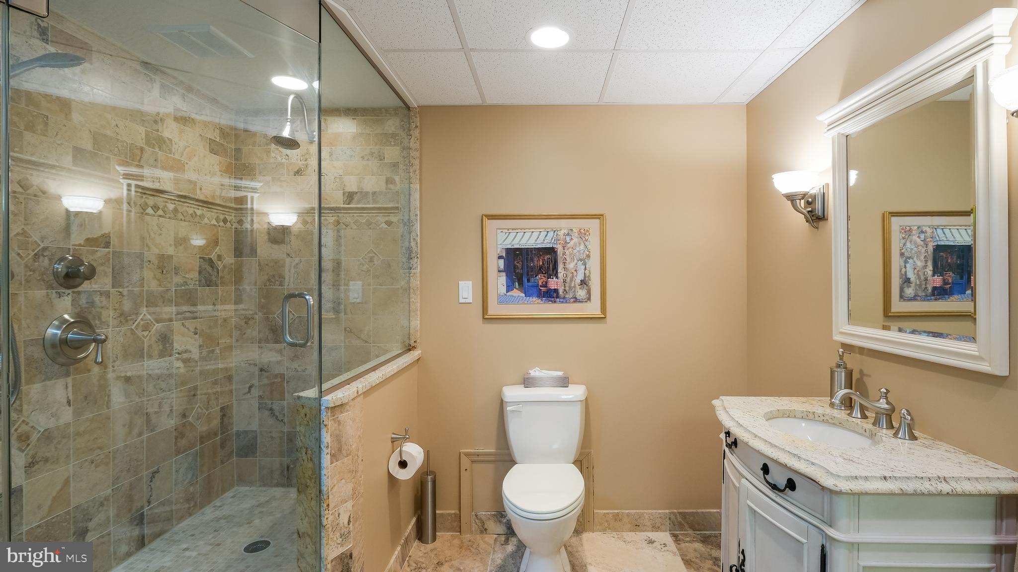 3269 Ash Mill Road Doylestown, PA 18902 - Photo 60 of 81 Full Bath in Basement