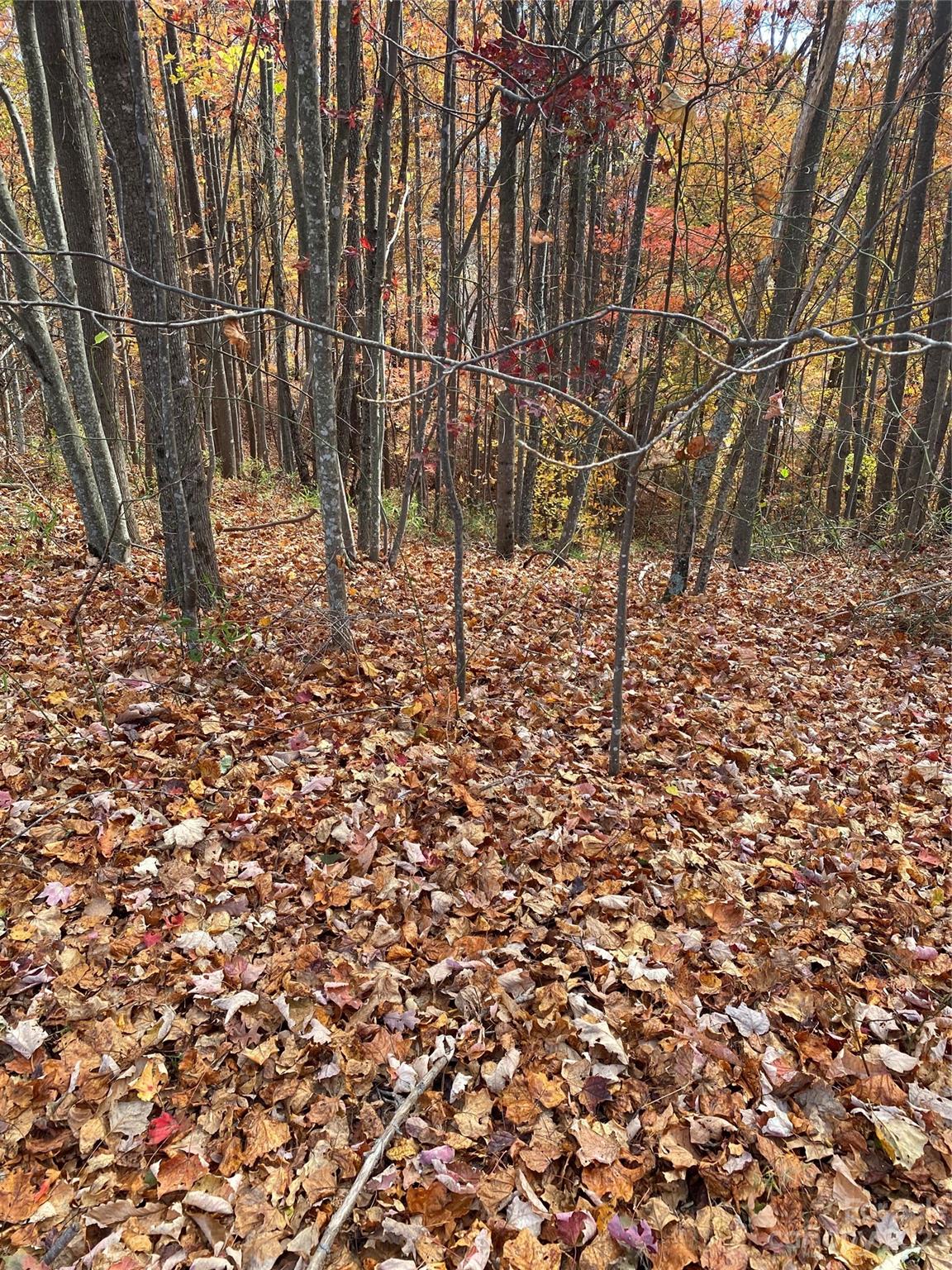 Tbd Meditation Rdg Dr Extension, Unit 43 Nebo, NC 28761 - Photo 15 of 15