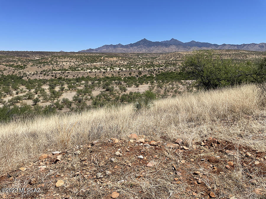 1868 Higuera Court, Unit 56 Rio Rico, AZ 85648 - Photo 3 of 4