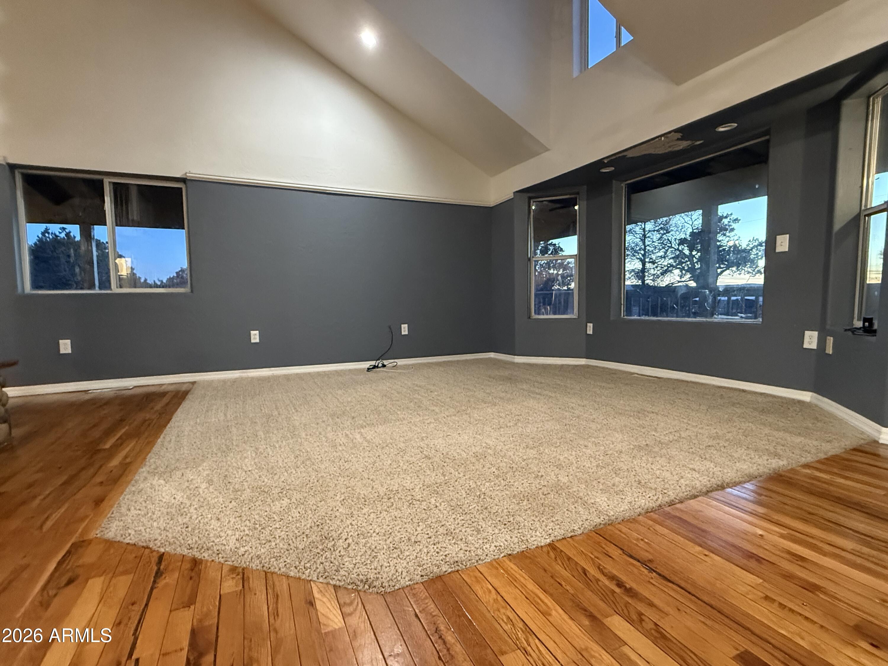 2185 Graphite Road Clay Springs, AZ 85923 - Photo 15 of 65 IMG_1634