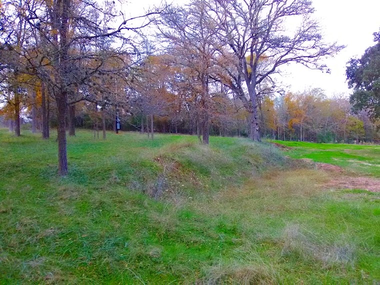 135 Ann Powell Road Smithville, TX 78957 - Photo 2 of 8 View of yard