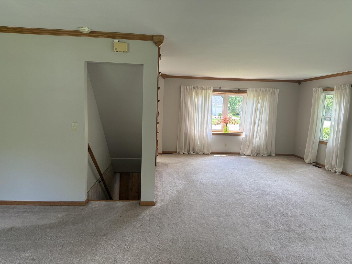 323 Bailey Court Princeton, IL 61356 - Photo 18 of 44