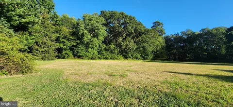 a view of an outdoor space and trees all around