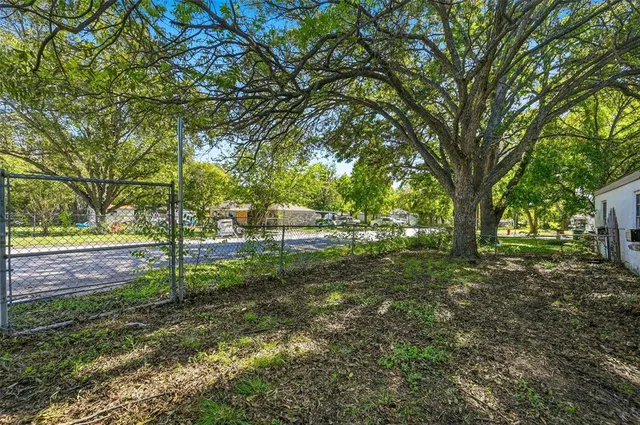 a view of a backyard with large trees