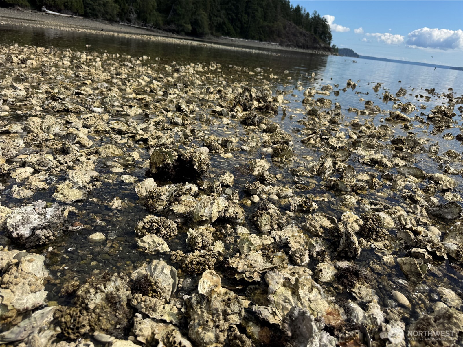 31 Hood Place Brinnon, WA 98320 - Photo 31 of 37