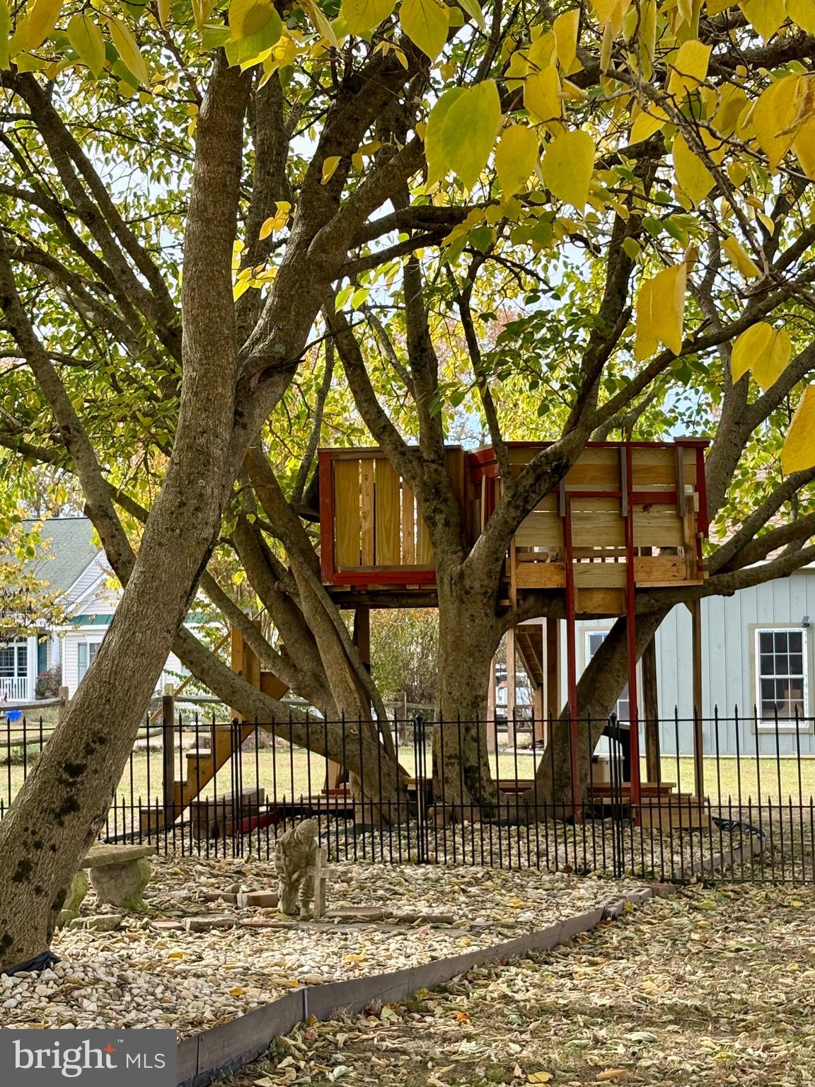 8158 Tate Road Ruther Glen, VA 22546 - Photo 45 of 73 Perfect tree for a treehouse!