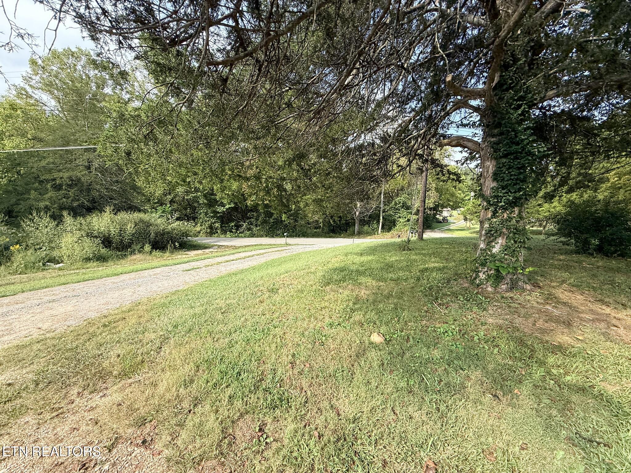 569 Carr Wynn Road La Follette, TN 37766 - Photo 17 of 17 IMG_0459