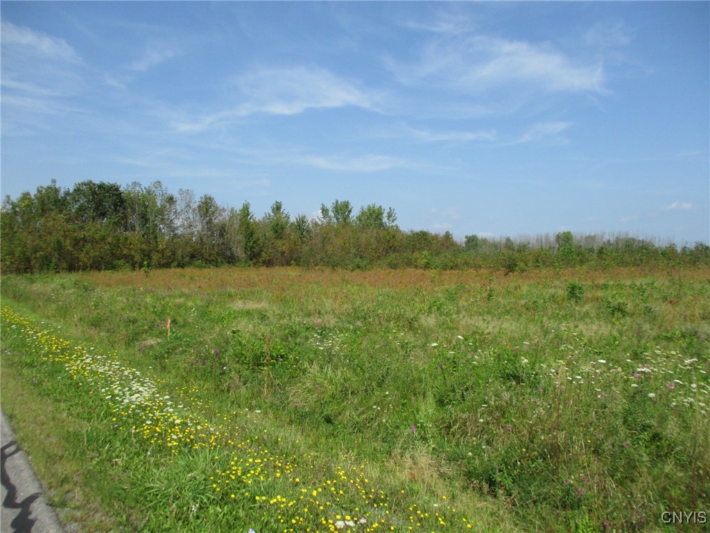 5 Hitchcock Point Road Bridgeport, NY 13030 - Photo 11 of 15